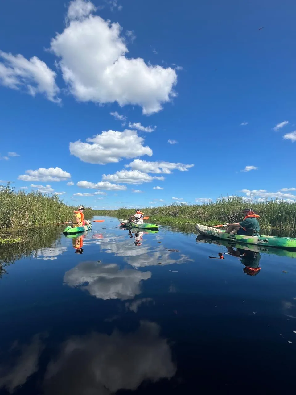 Kayak entre juncos en los Esteros del Iberá